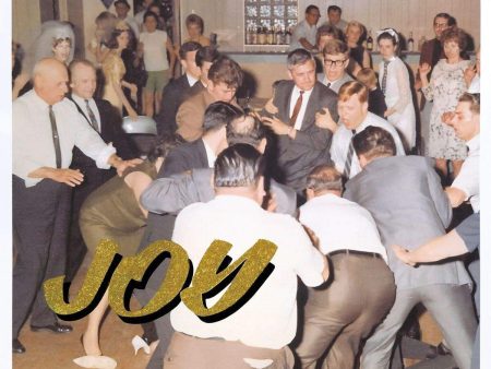 Idles Joy As An Act Of Resistance LP Sale