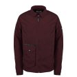 Weekend Offender Vinnie - Burgundy Online now